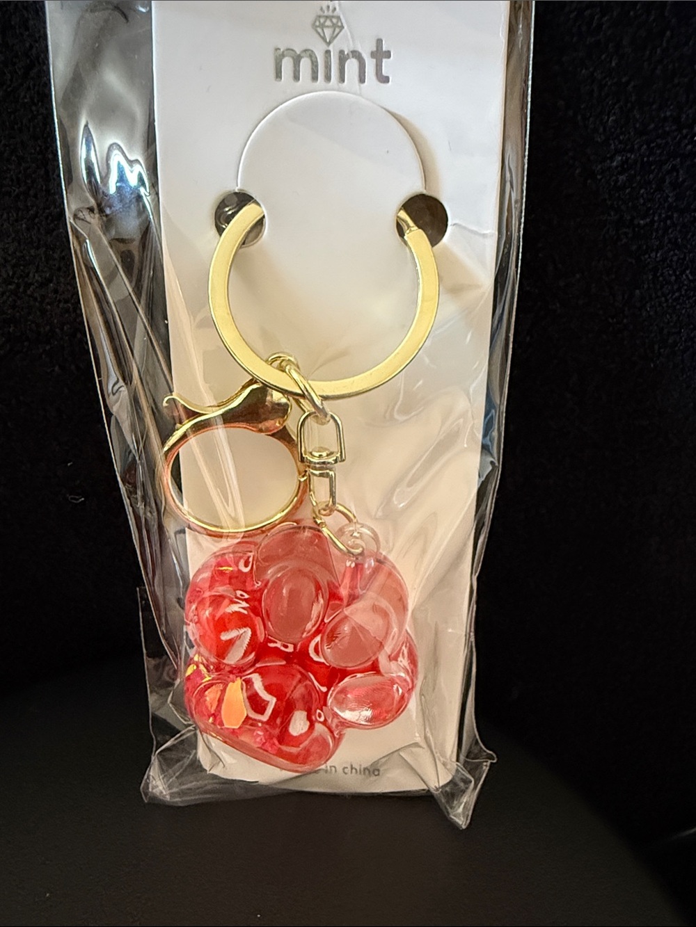 mint Gold Keychain with Red Paw Resin Charm